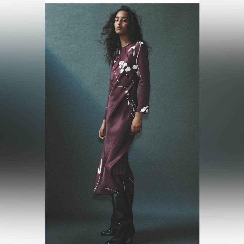 Nwt Zara dress printed burgundy color